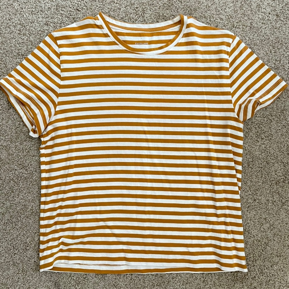 Everlane Striped Box Cut T-shirt, Burnt orange/cream Stripes- M